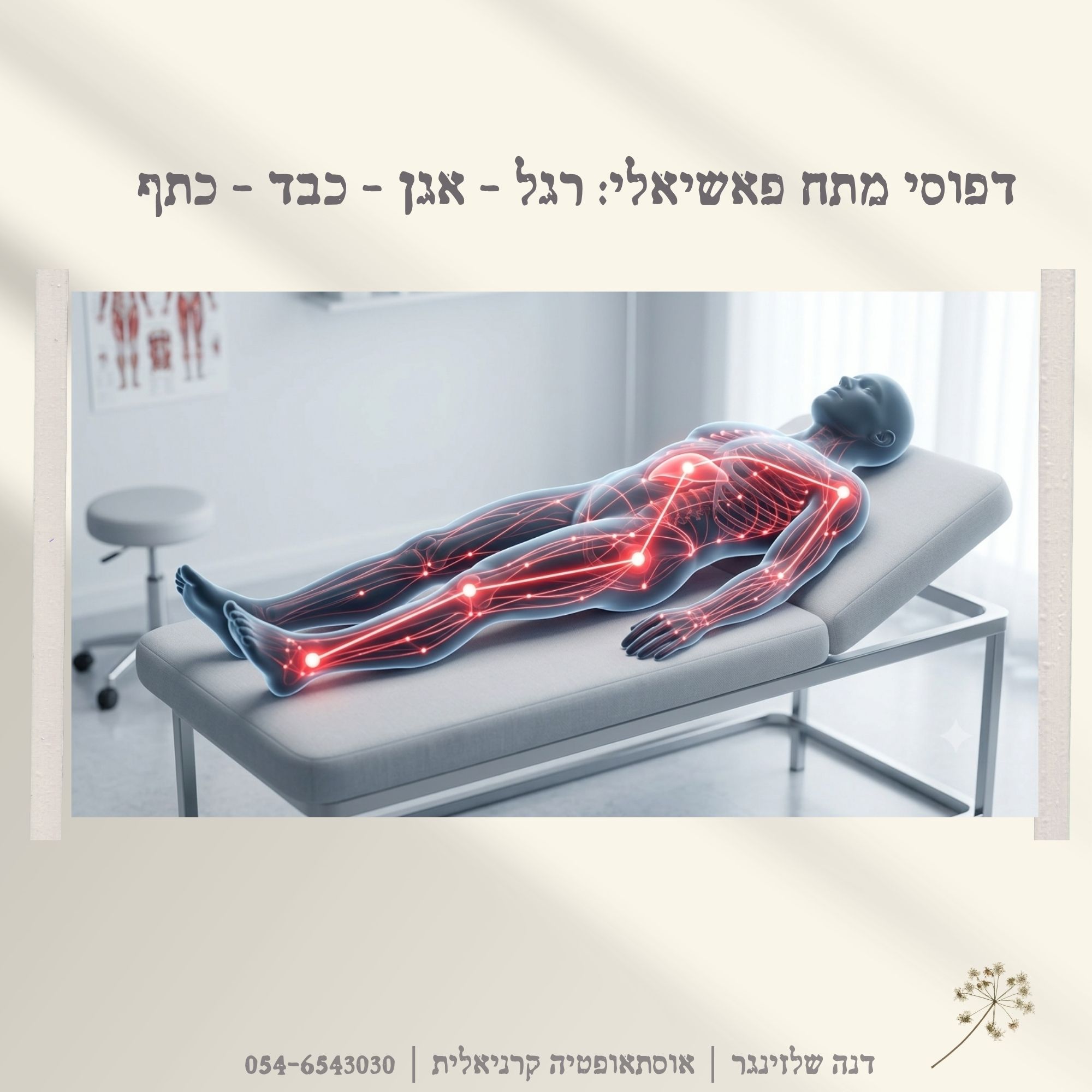 דפוסי מתח פאשיאלי